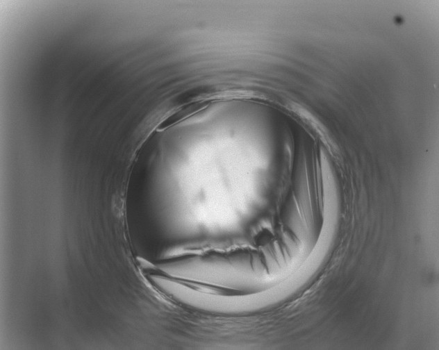X0000070211193200606232056
