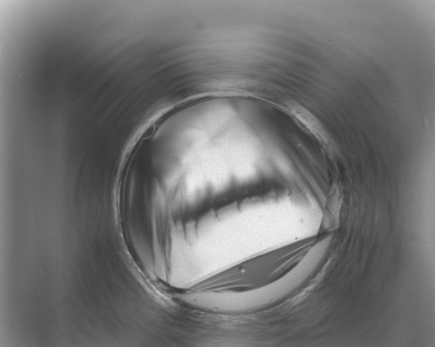 X0000070211196200606232056
