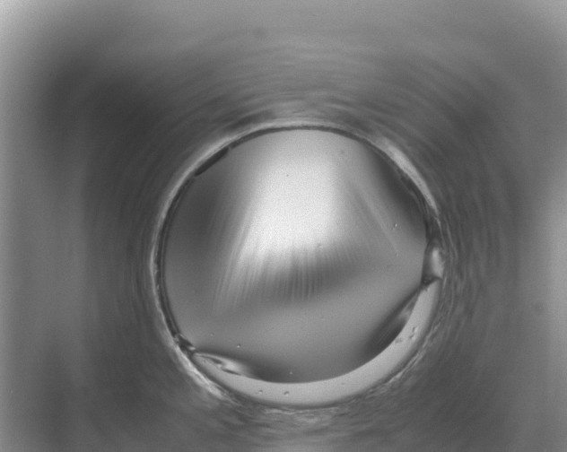 X0000070211197200606232056