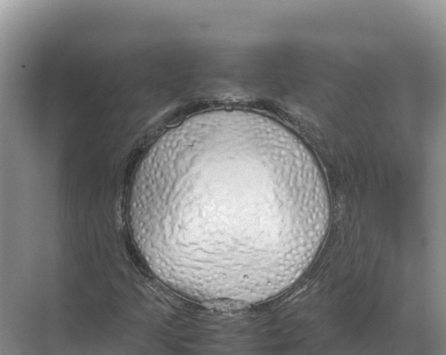 X0000070211205200606232056