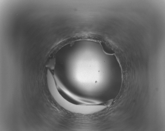X0000070211206200606232056