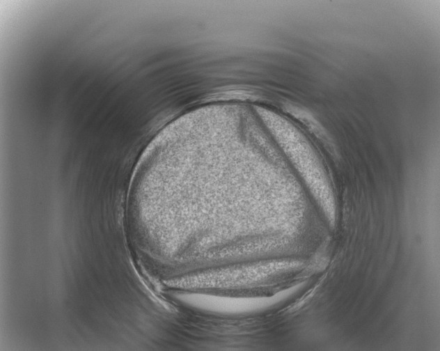X0000070211233200606232056