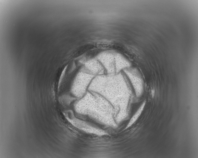 X0000070211252200606232055