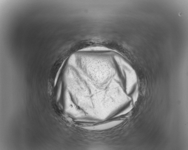 X0000070211253200606232055