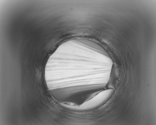 X0000070211257200606232055