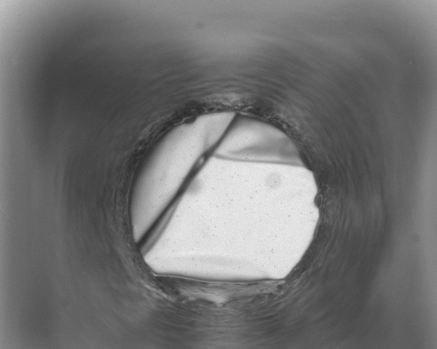 X0000070211297200606232054
