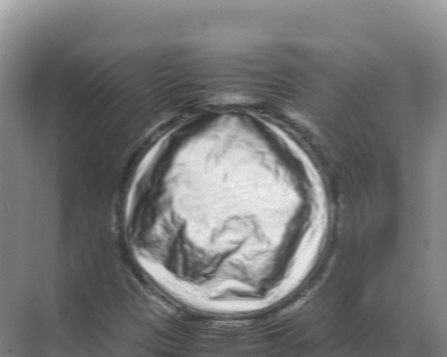 X0000070211305200606232054