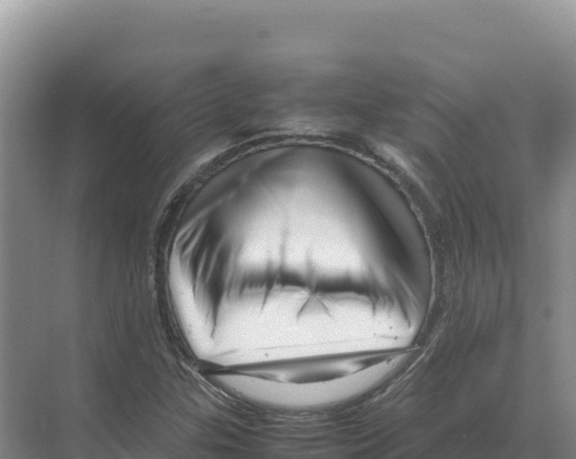 X0000070211307200606232054
