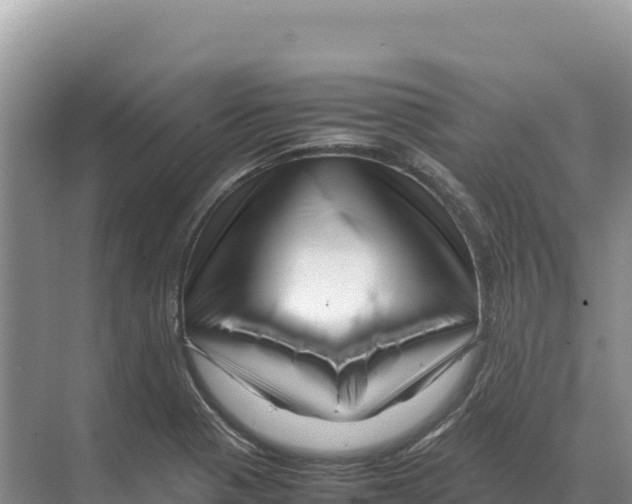 X0000070211321200606232054