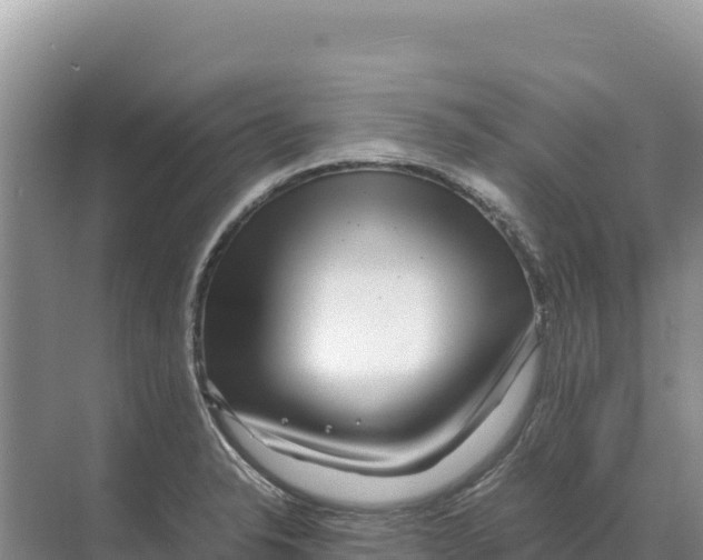 X0000070211326200606232054