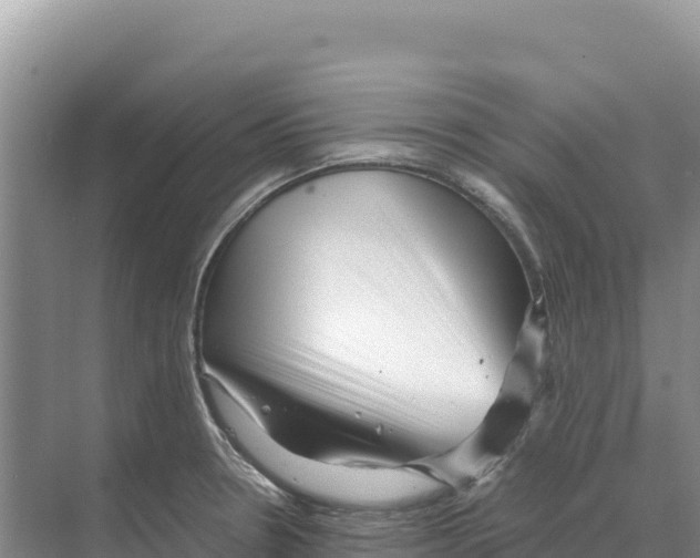 X0000070211330200606232054