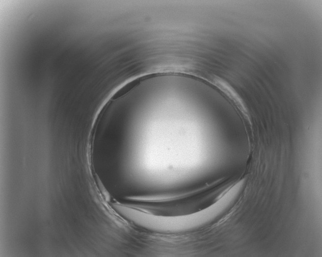 X0000070211340200606232055