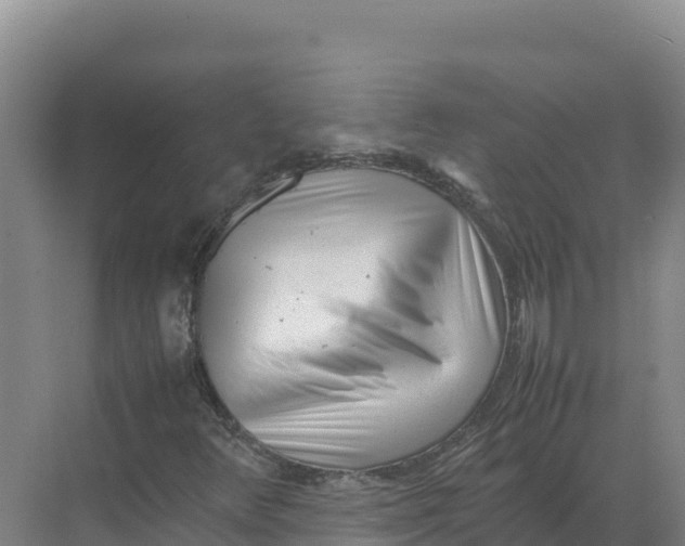 X0000070211348200606232054