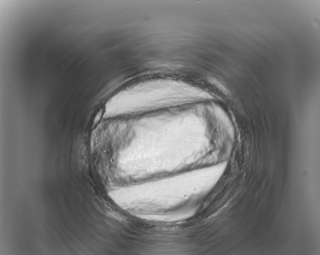 X0000070211354200606232054