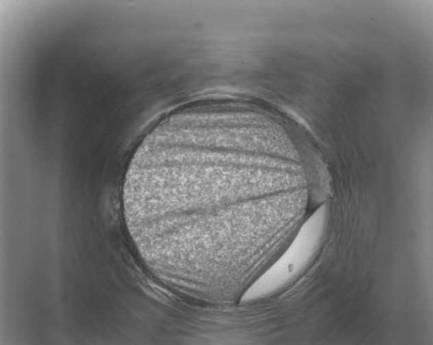 X0000070211355200606232054