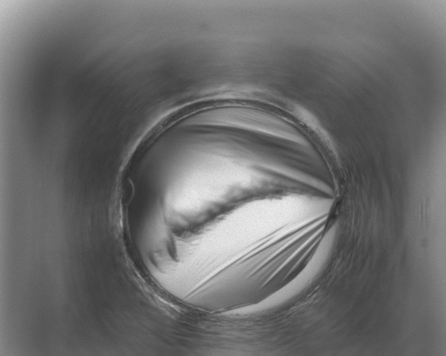 X0000070211368200606232053