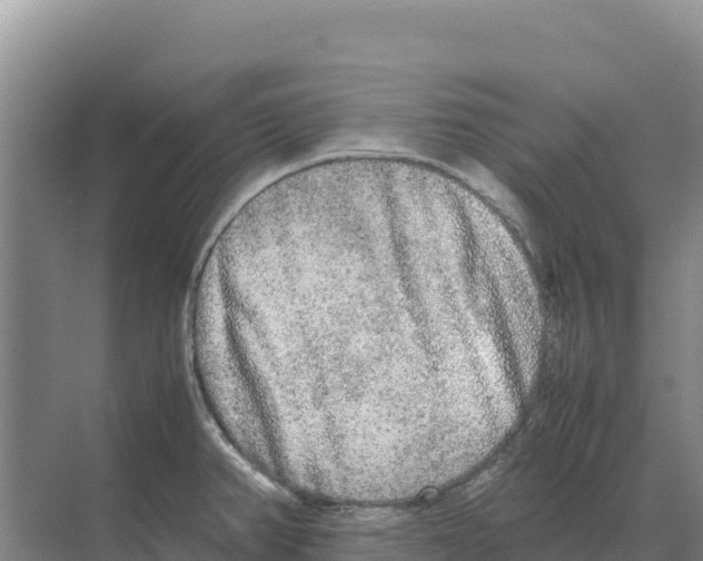 X0000070211382200606232053