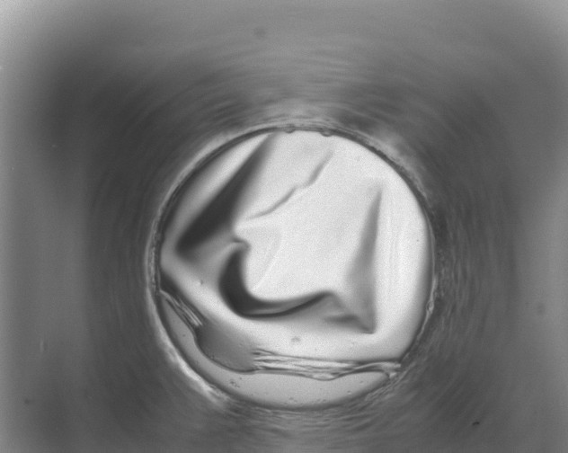 X0000070211383200606232053