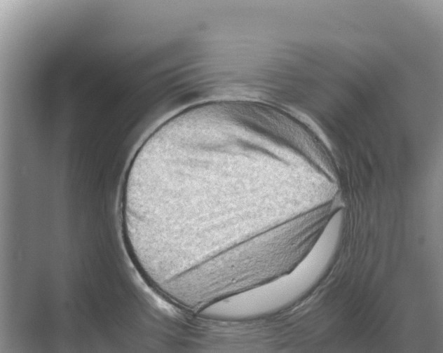 X0000070211387200606232053
