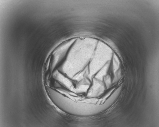 X0000070211390200606232053