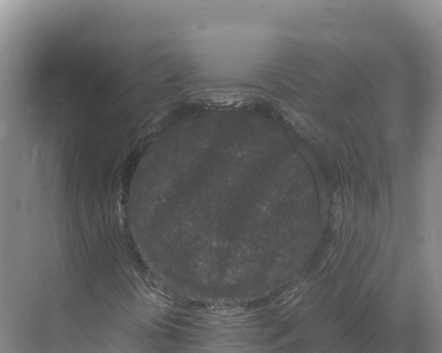 X0000070211394200606232052