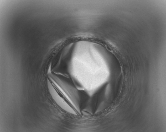 X0000070211398200606232052