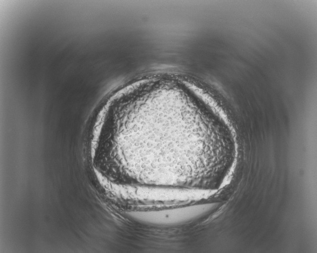 X0000070211405200606232052