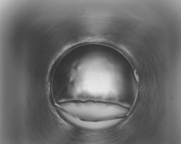 X0000070211414200606232053