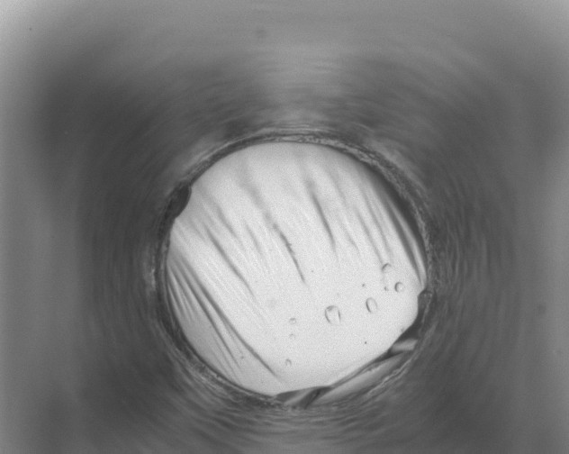 X0000070211451200606232052