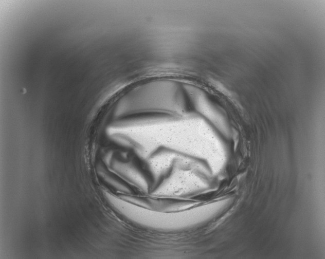X0000070211453200606232052
