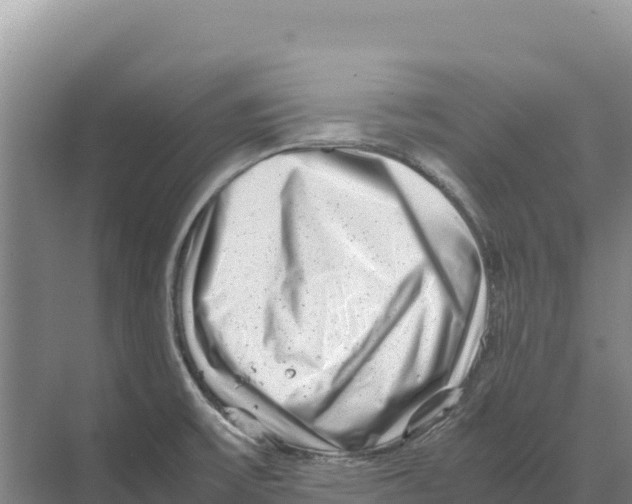 X0000070211475200606232052