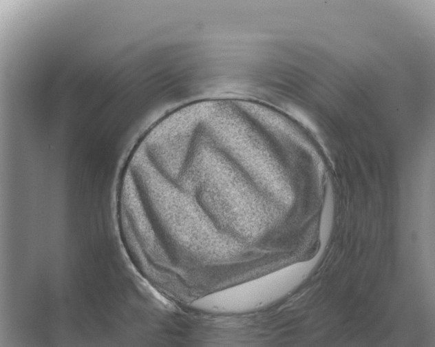 X0000070211480200606232052