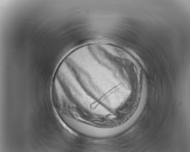X0000070211484200606232052