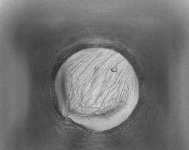X0000070211493200606232051