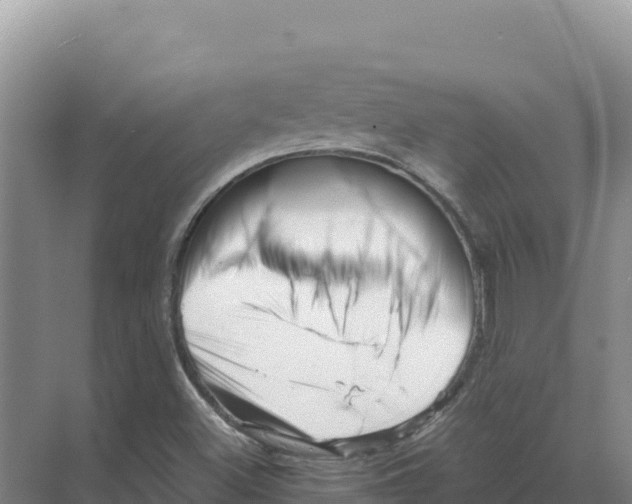 X0000070211500200606232051