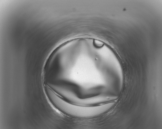 X0000070211519200606232051