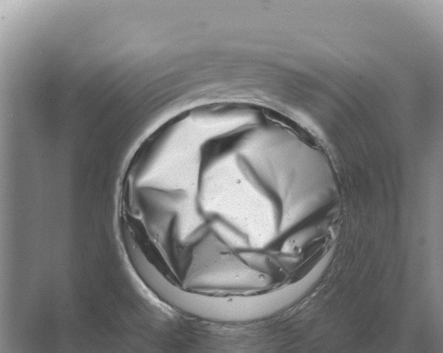 X0000070211528200606232051