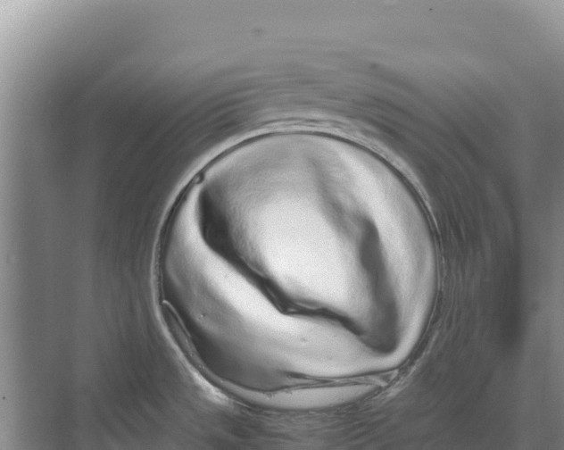 X0000070211533200606232051