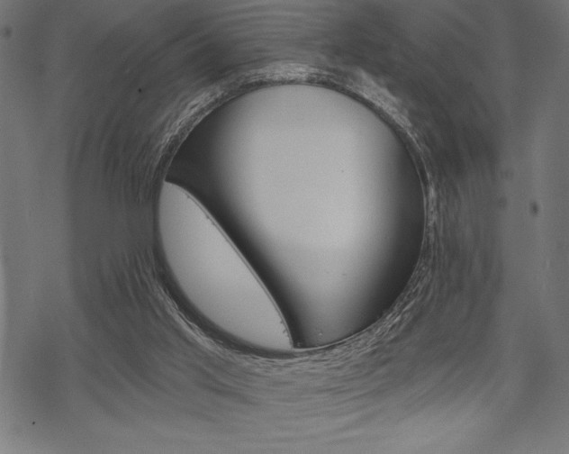 X0000070220013200605261048