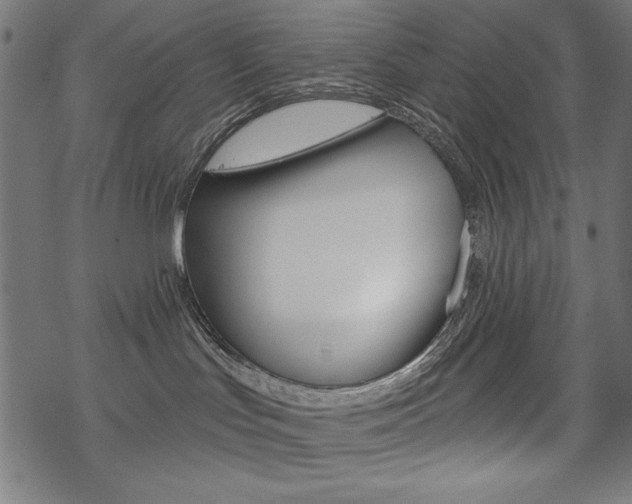 X0000070220047200605261047