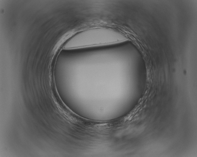 X0000070220054200605261047