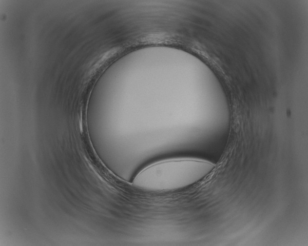 X0000070220062200605261047