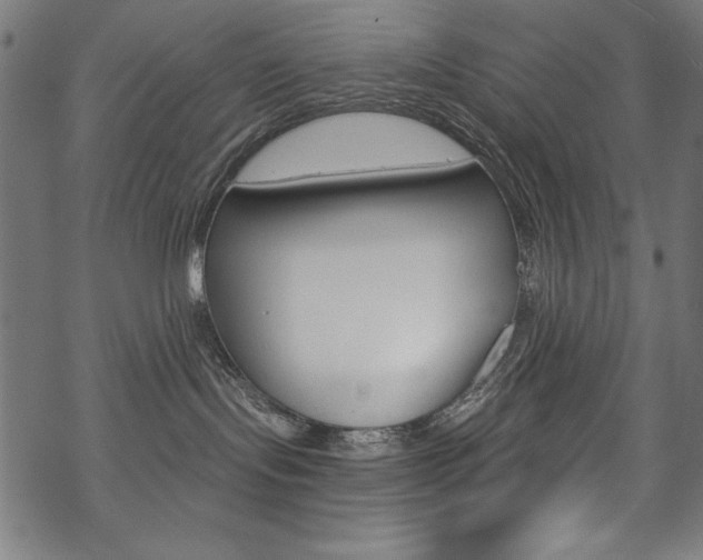 X0000070220095200605261047