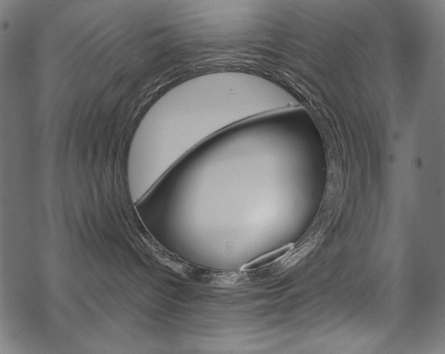 X0000070220096200605261047