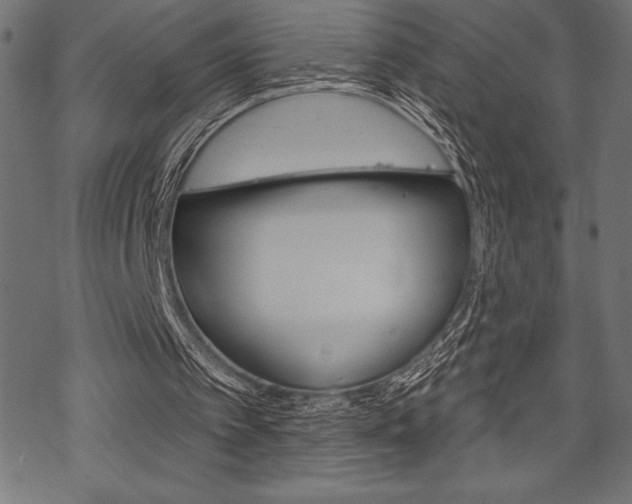 X0000070220097200605261047
