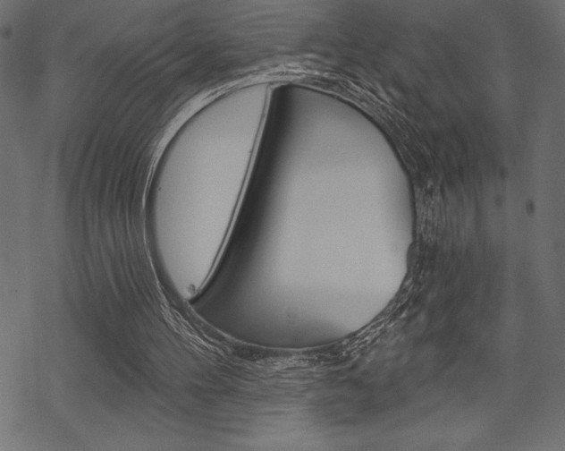 X0000070220100200605261047