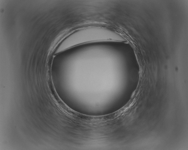 X0000070220101200605261047
