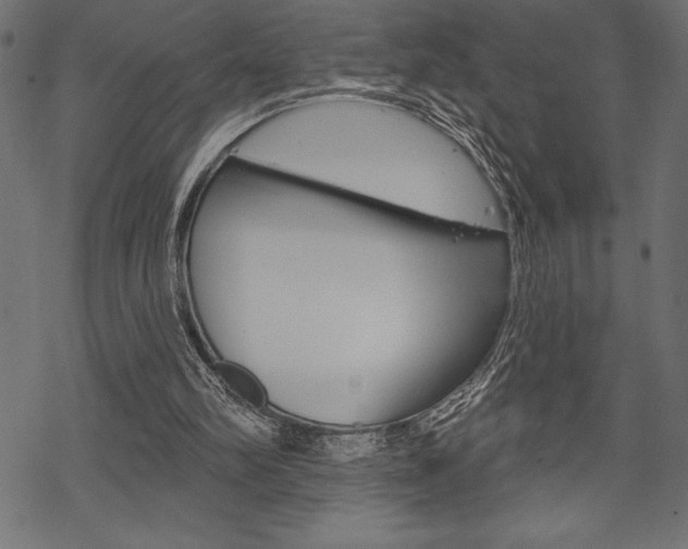 X0000070220102200605261047