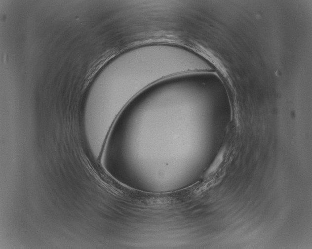 X0000070220105200605261046