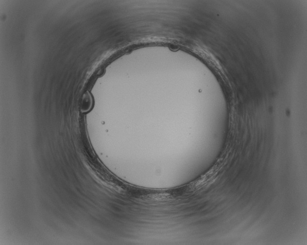 X0000070220108200605261046